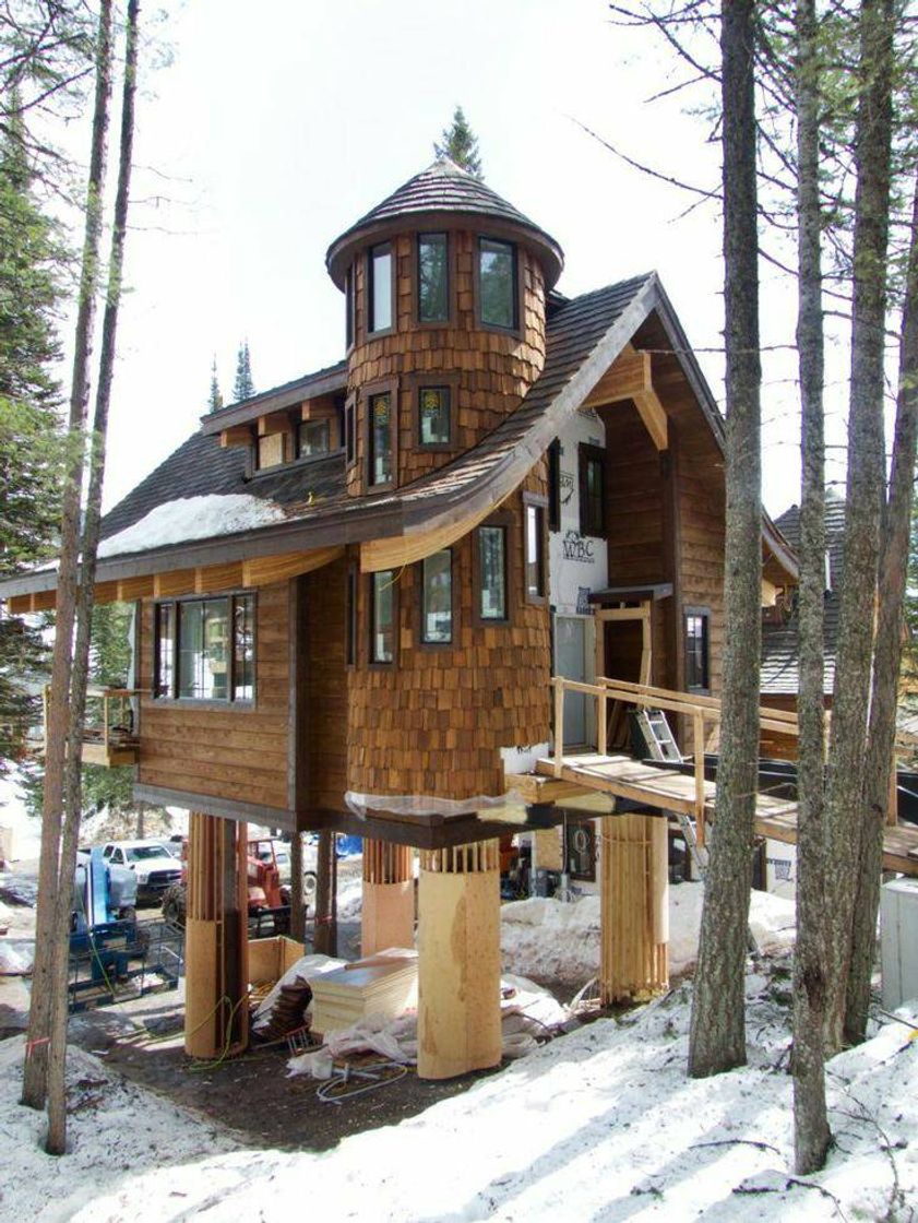 Social Different house