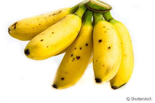 Banana nanica