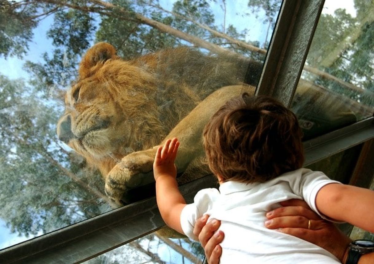 Place ZOO Santo Inácio