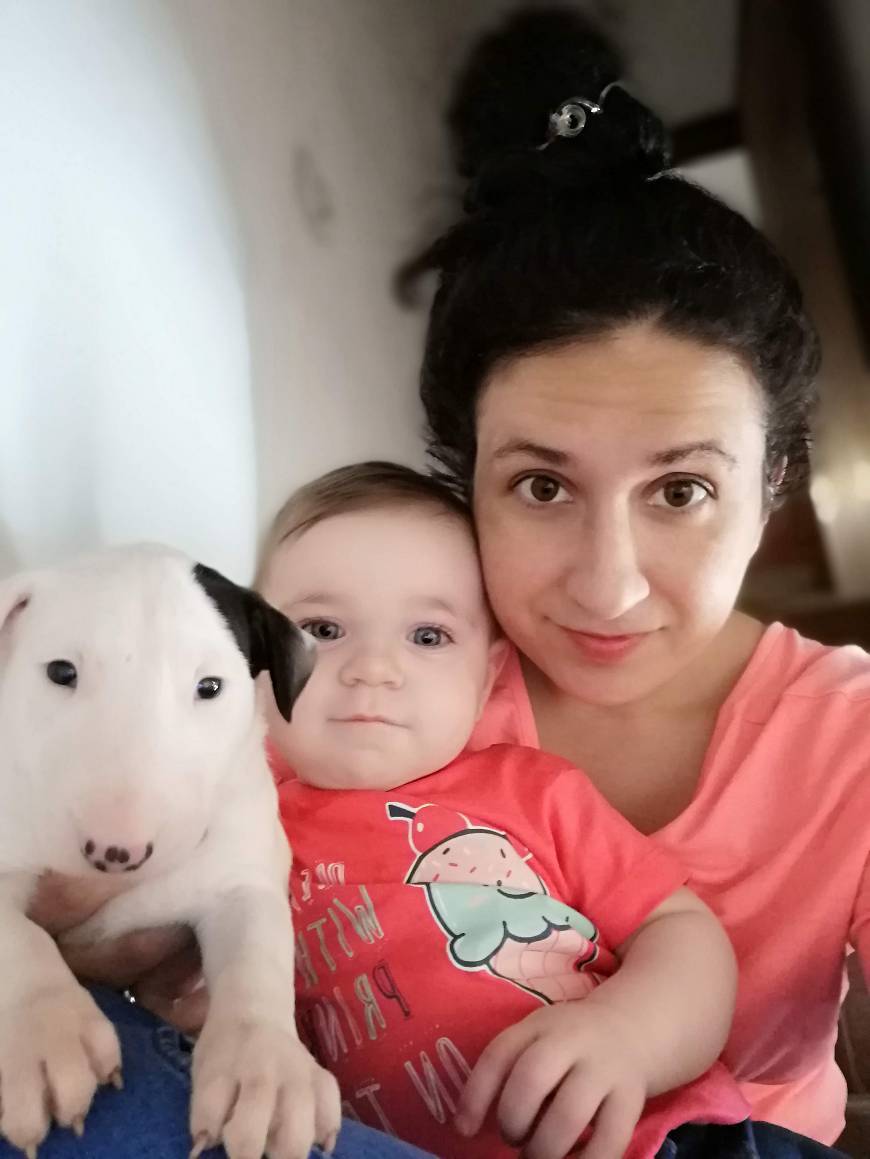 Social Pets and Animals | Ready.gov