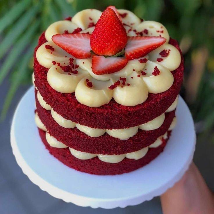 Moda Red Velvet