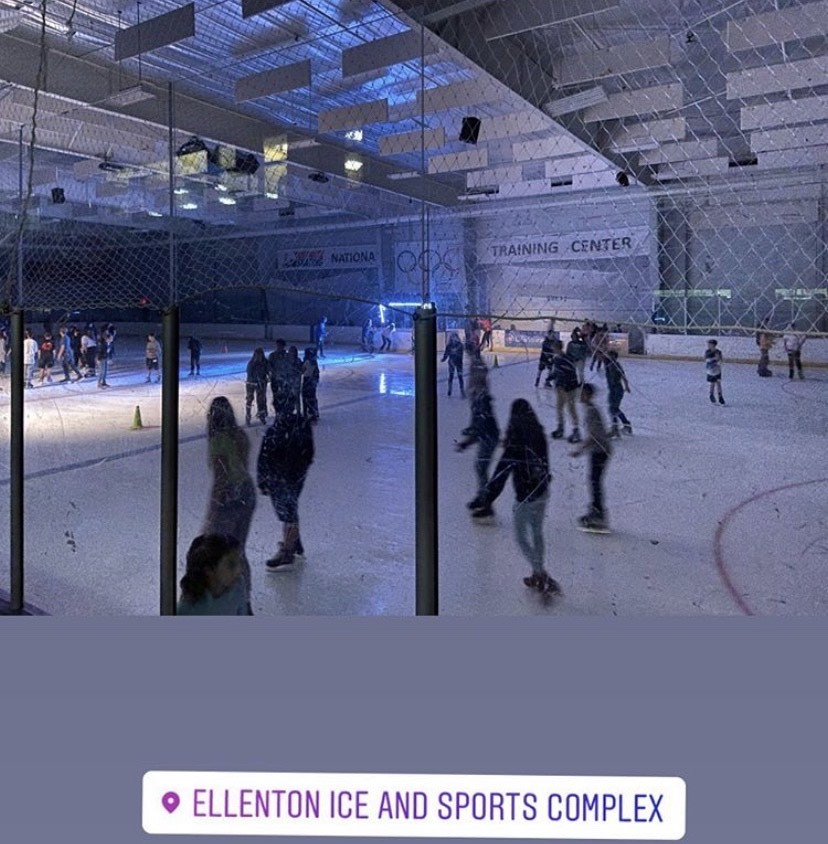 Place Ellenton Ice and Sports Complex