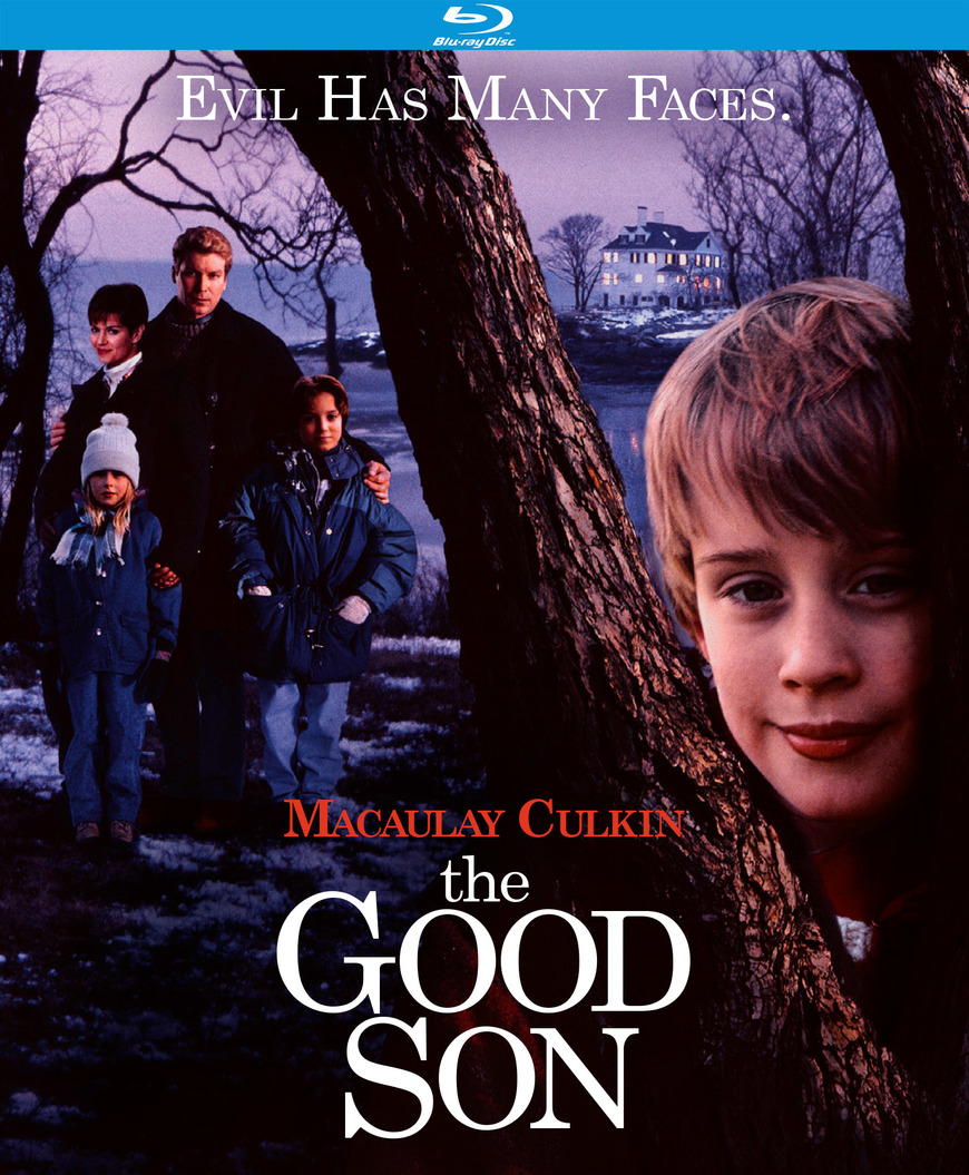 Película The Good Son