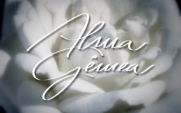 Series Alma Gêmea - Novela (Globo)