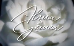 Alma Gêmea - Novela (Globo)