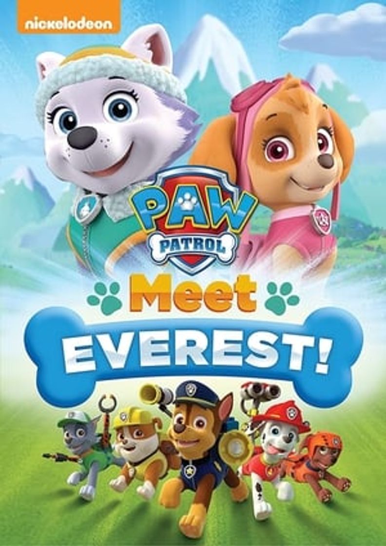 Película La patrulla canina: Conoce a Everest