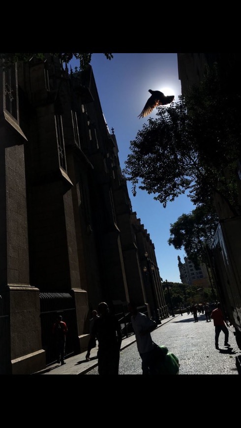 Social Melhor foto na praça da sé.🕊
