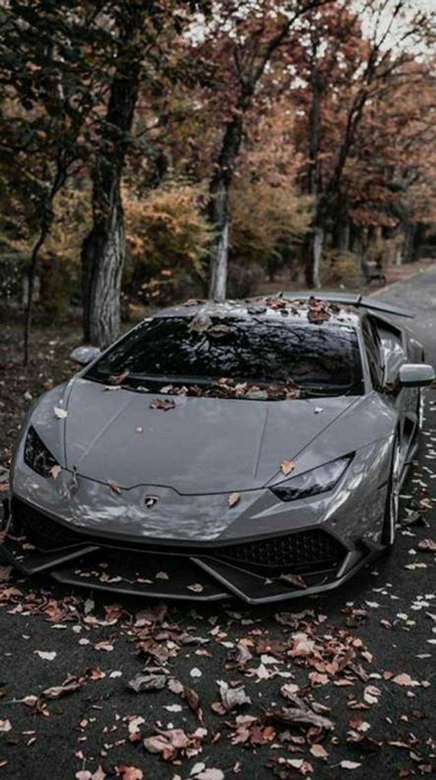 Moda Carros ⚡