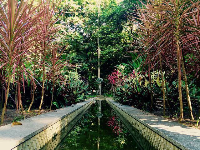 Lugar Jardim Botânico do Recife