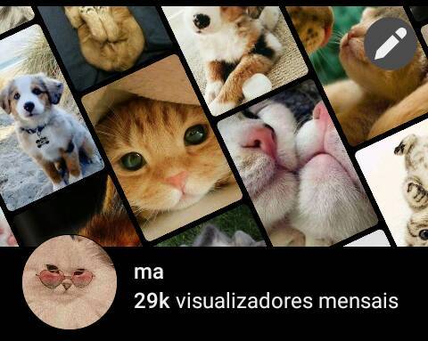 Perfil 1 - Pinterest