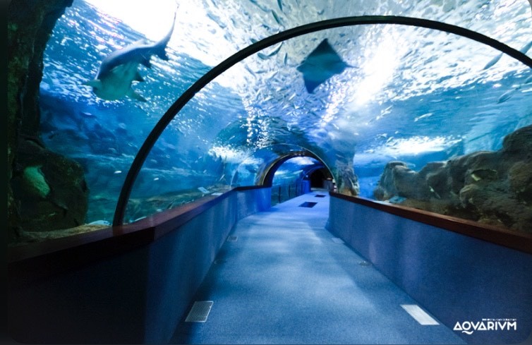 Place Aquarium