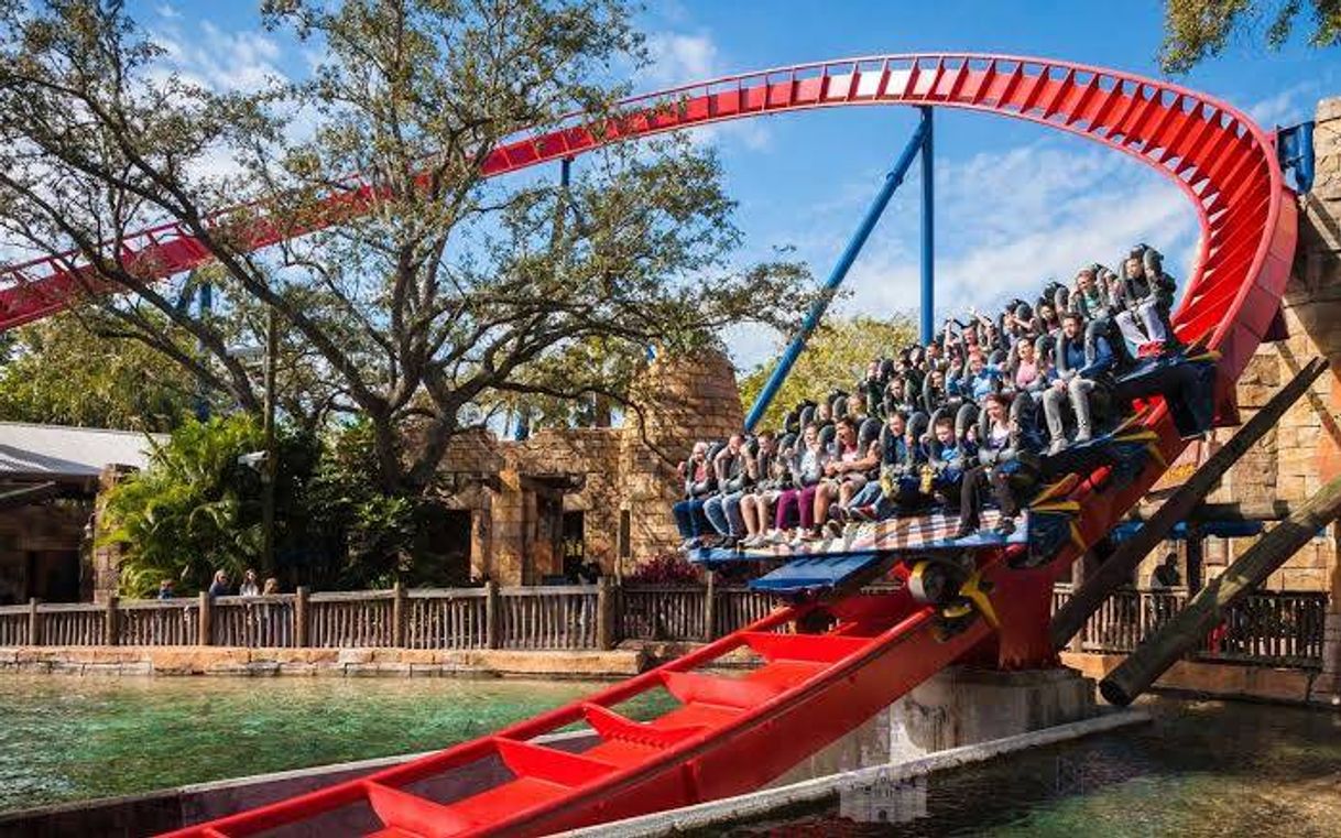 Lugar Busch Gardens Tampa Bay