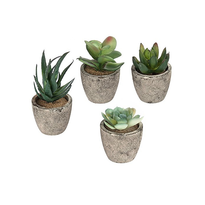 Social Artificial Plantas Varios Decorativo Suculentas Macetas con Gris Juego de 4