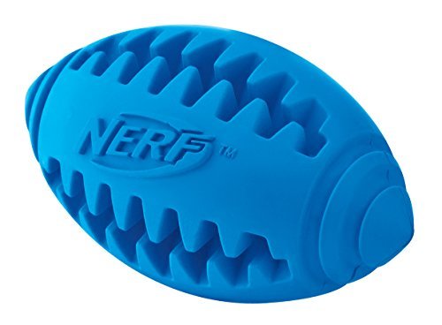 Places Nerf Dog Tether Football