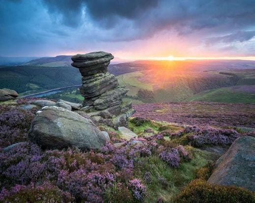 Peak District National Park Authority