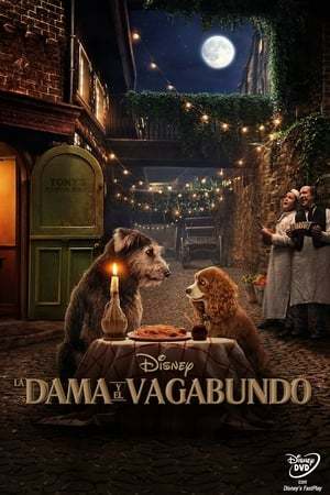 Película La dama y el vagabundo