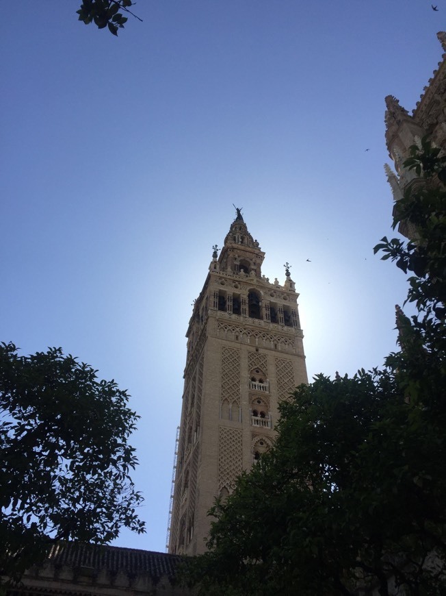 Lugar Catedral de Sevilla