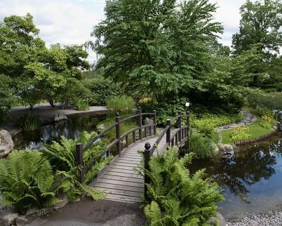 Lugares Bergianska trädgården