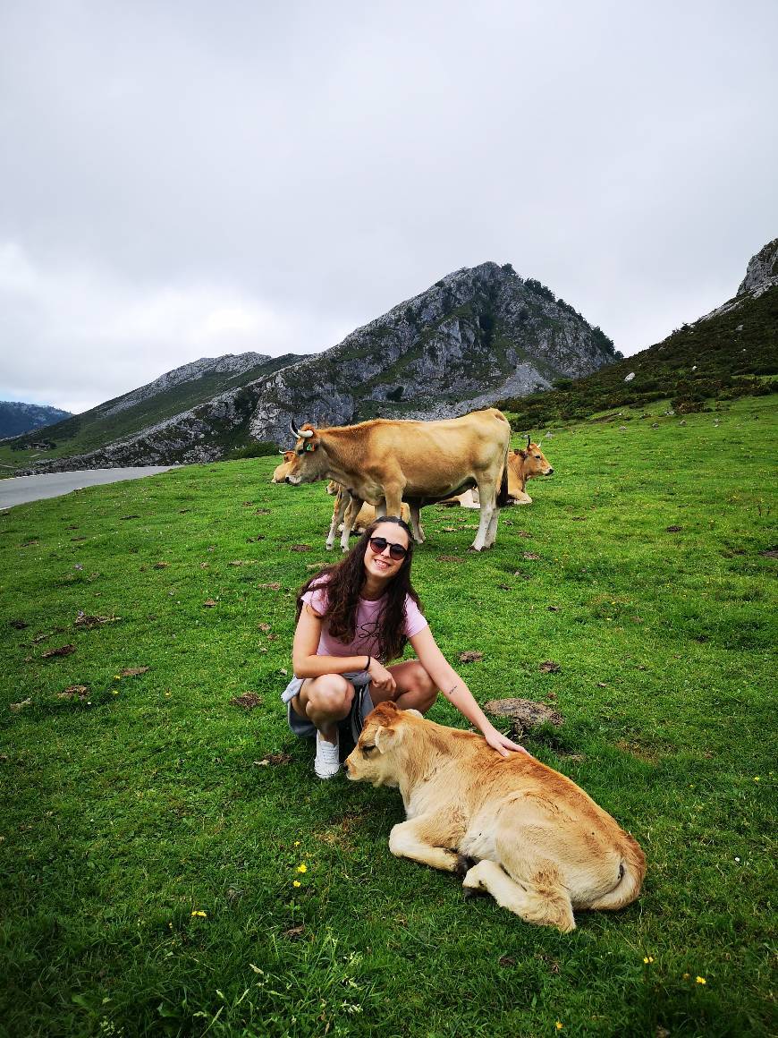 Place Lagos de Covadonga