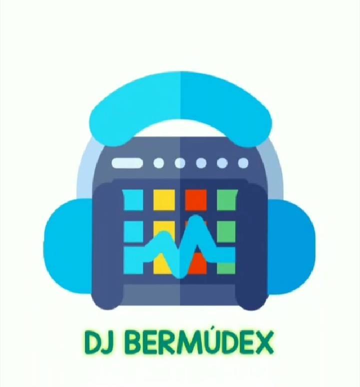 DJ_bermudex 