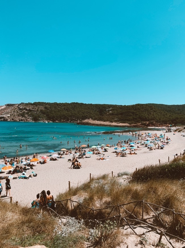 Lugar Cala Algaiarens