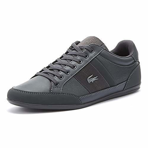 Lacoste Chaymon 419 1 Hombres Gris Zapatillas-UK 7