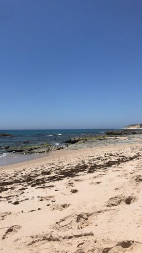 Playa Punta Paloma