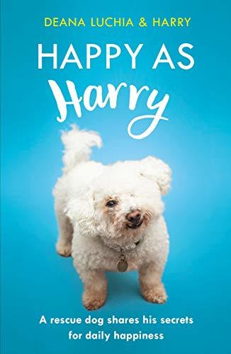 Books Happy as Harry: A rescue dog shares his secrets for daily happiness