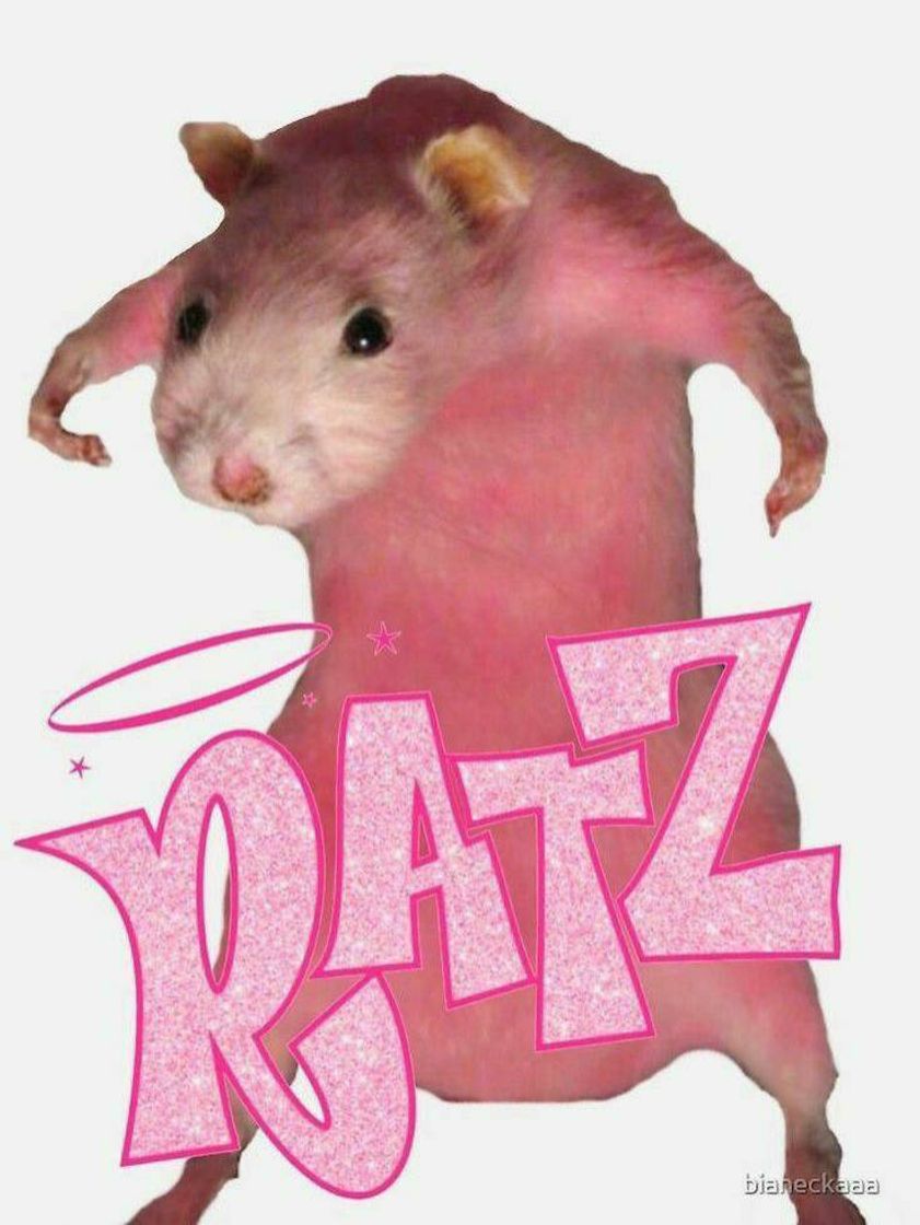 Moda Ratz