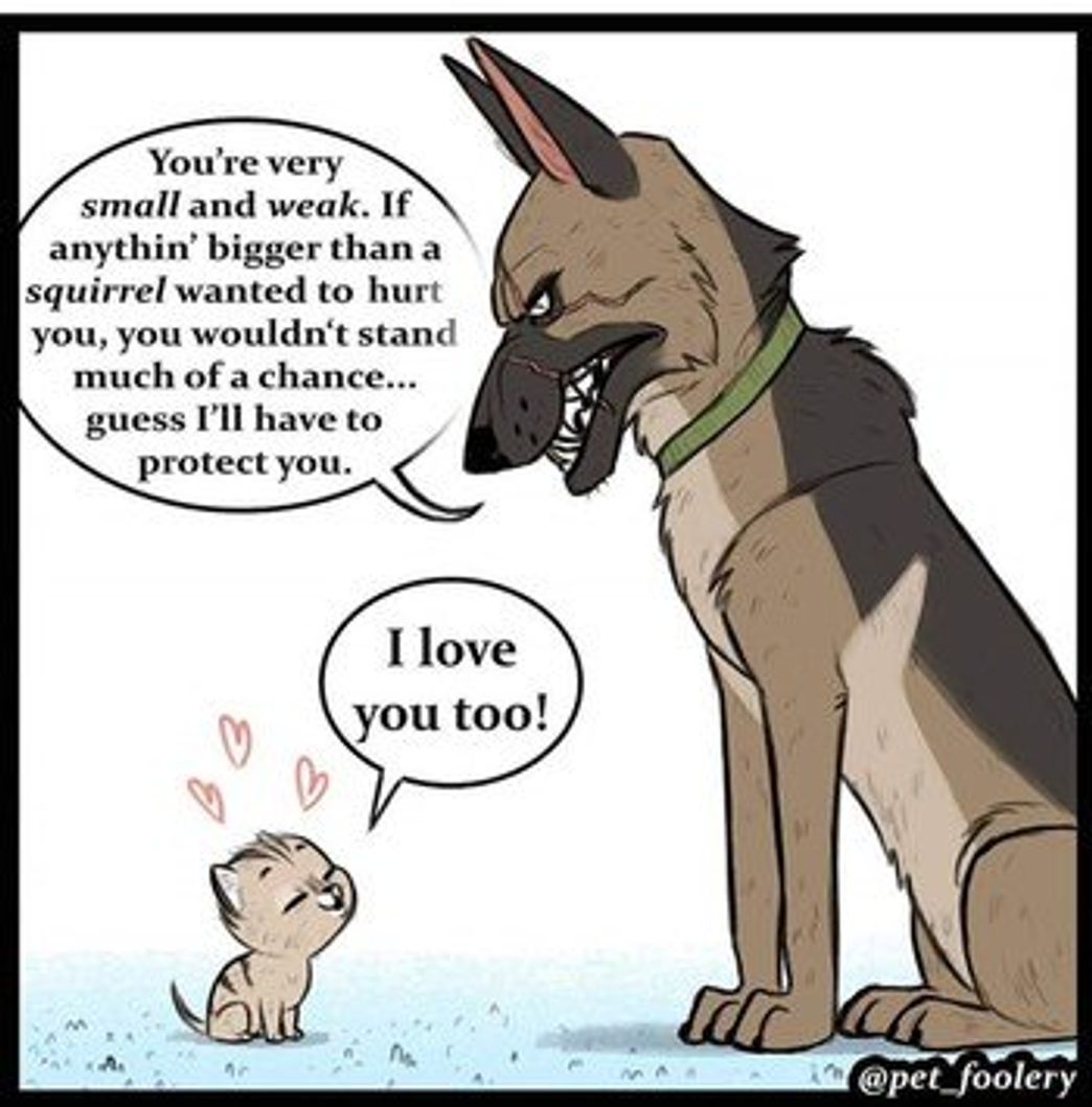 Social Pixie and Brutus | WEBTOON