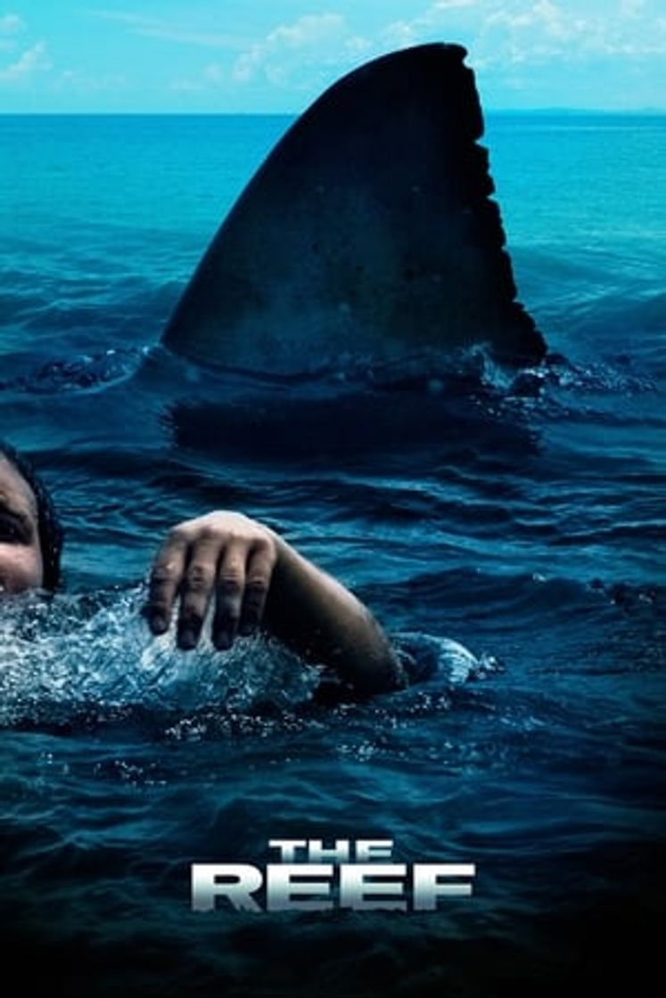 Película El arrecife