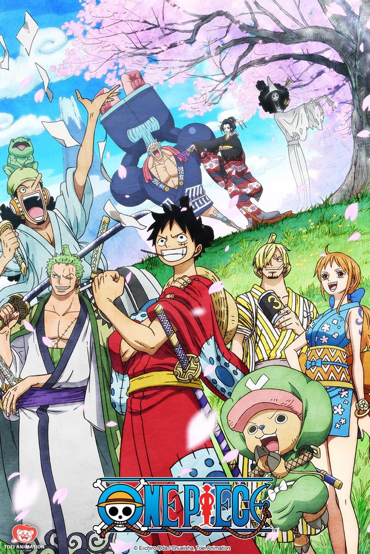 Serie One Piece