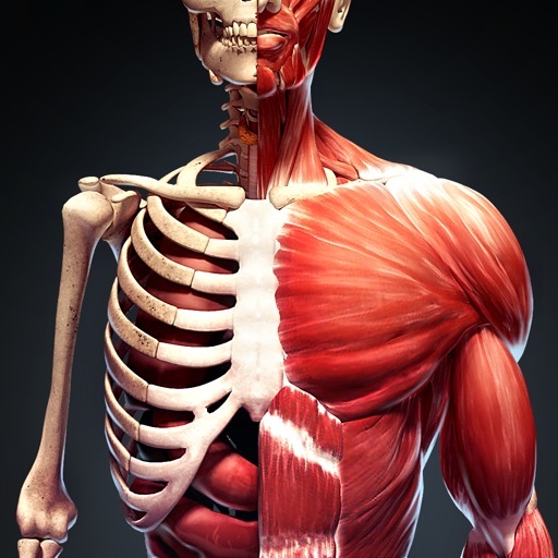 App Descubre El Cuerpo Humano AR