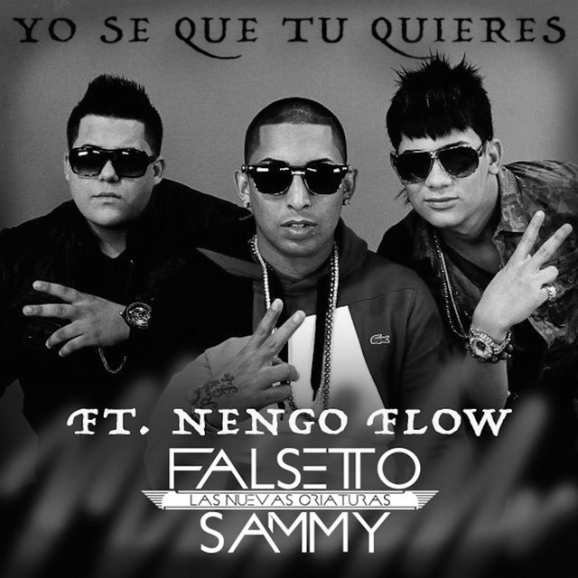 Canción Yo Se Que Tu Quieres (feat. Ñengo Flow)