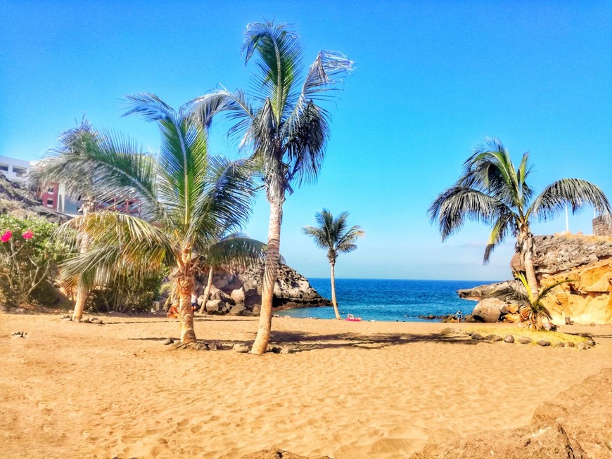 Lugar Playa Paraíso