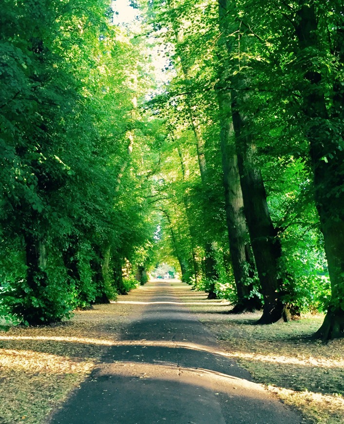 Lugar Beddington Park