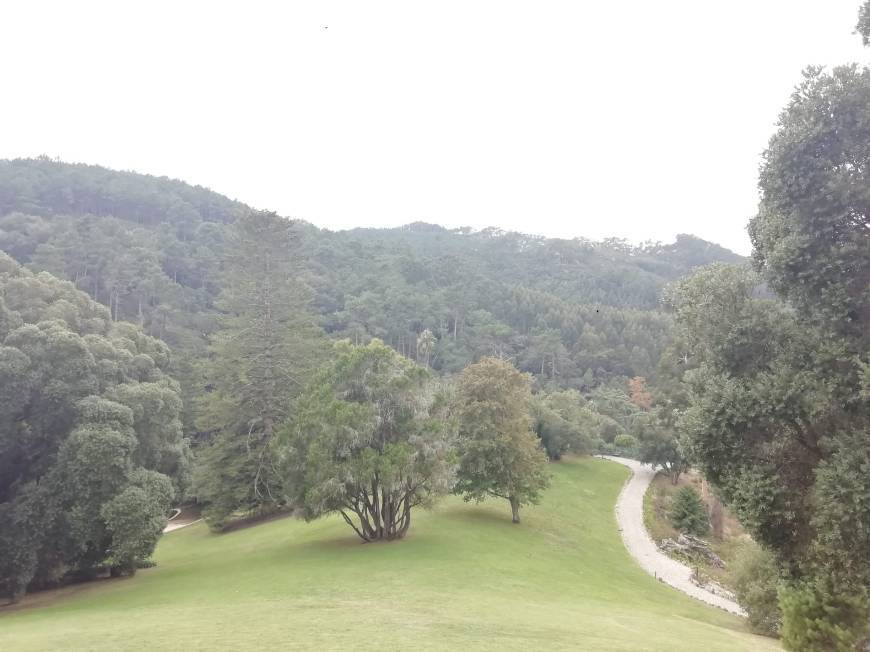 Lugar Palacio de Monserrate