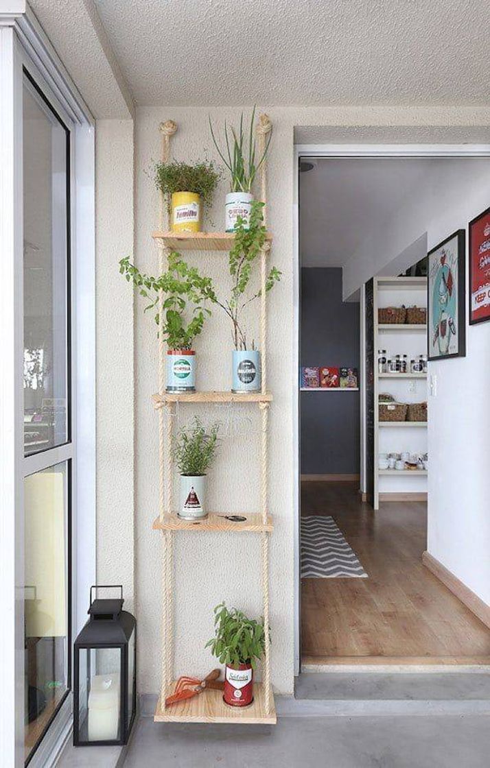 Fashion Decoração com plantas. 