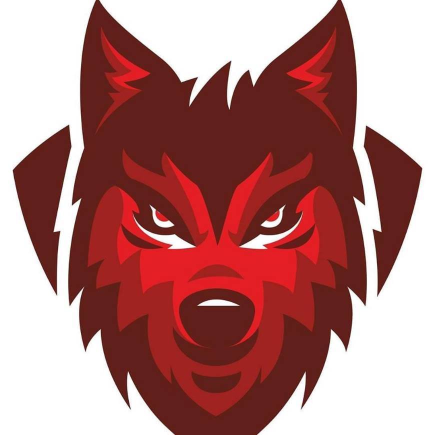 WOLF GYM