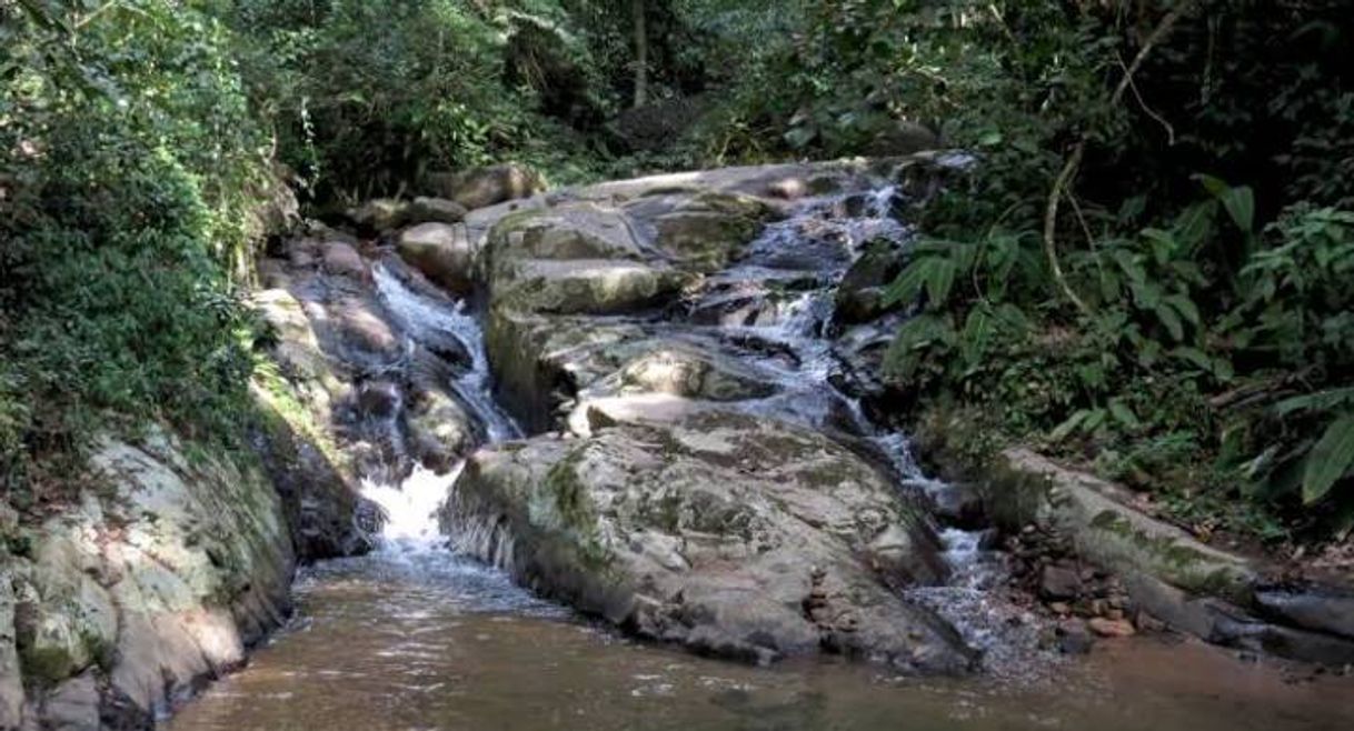 Lugar Parque Estadual da Pedra Branca