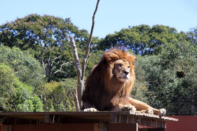 Place Zoológico Municipal de Curitiba
