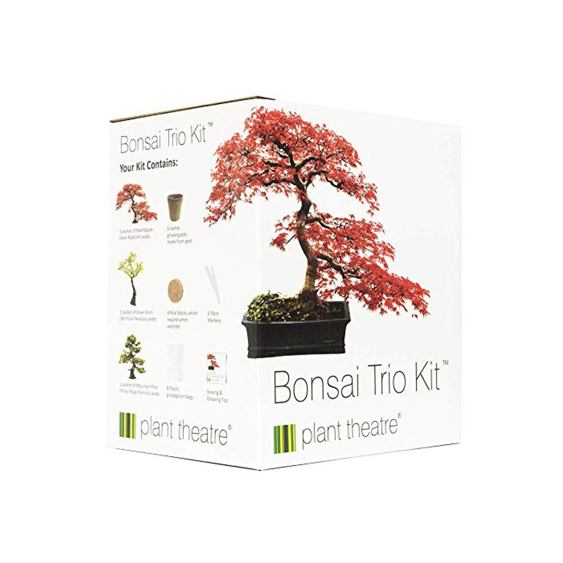 Social Plant Theatre