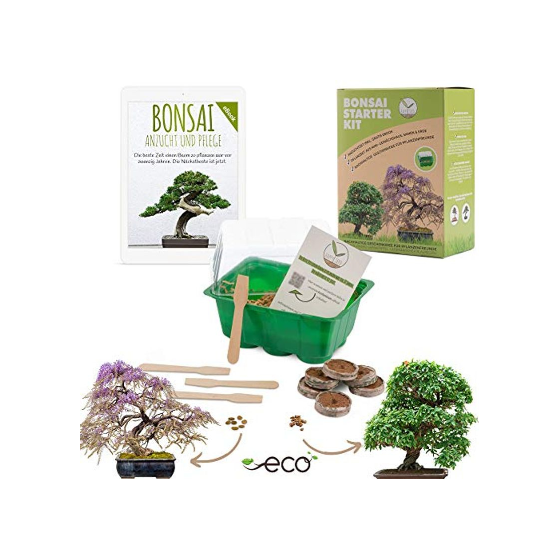 Social Bonsai Kit incl. eBook GRATUITO - Set de plantas con mini invernadero,