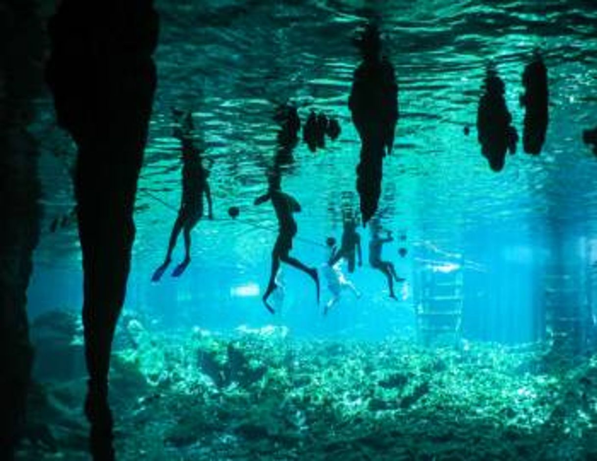 Moda I am Cenote 