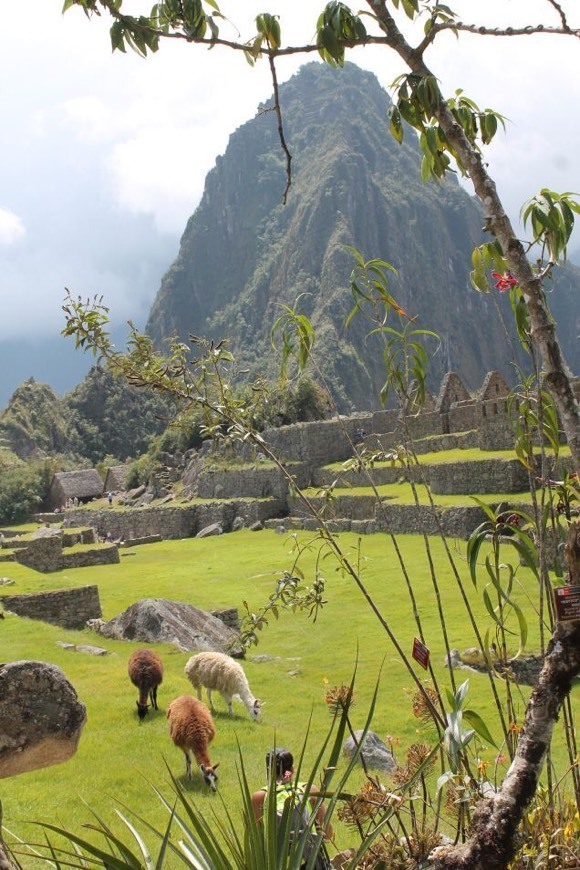 Fashion Machu Picchu