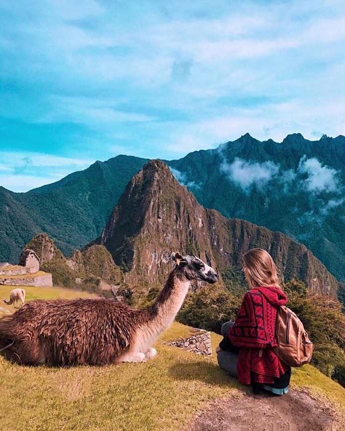 Fashion Machu Picchu