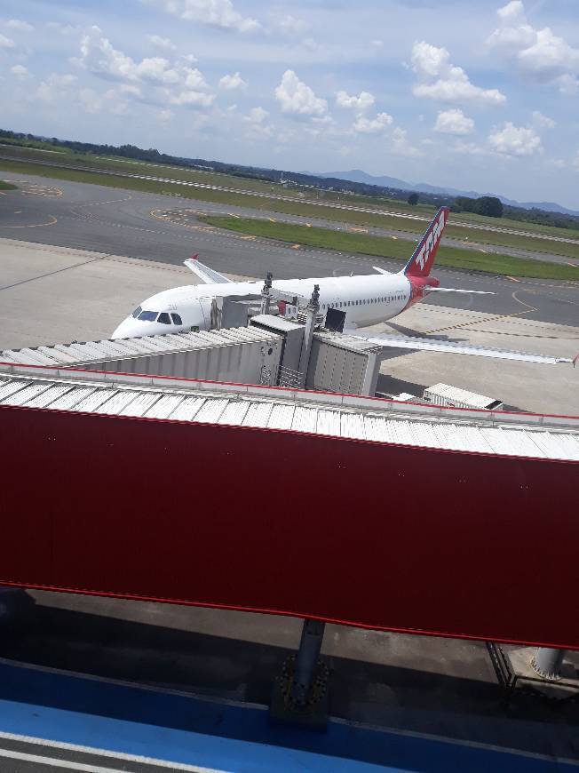 Lugar Aeropuerto Internacional Afonso Pena (CWB)