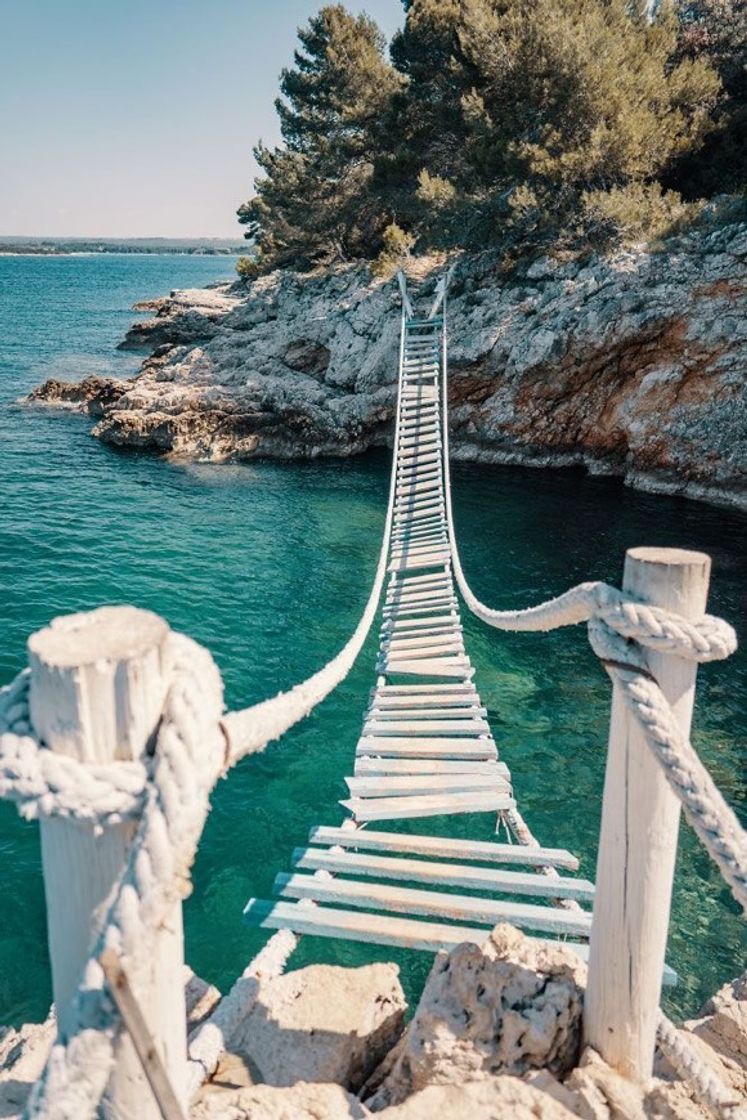 Moda Cool rope bridge 