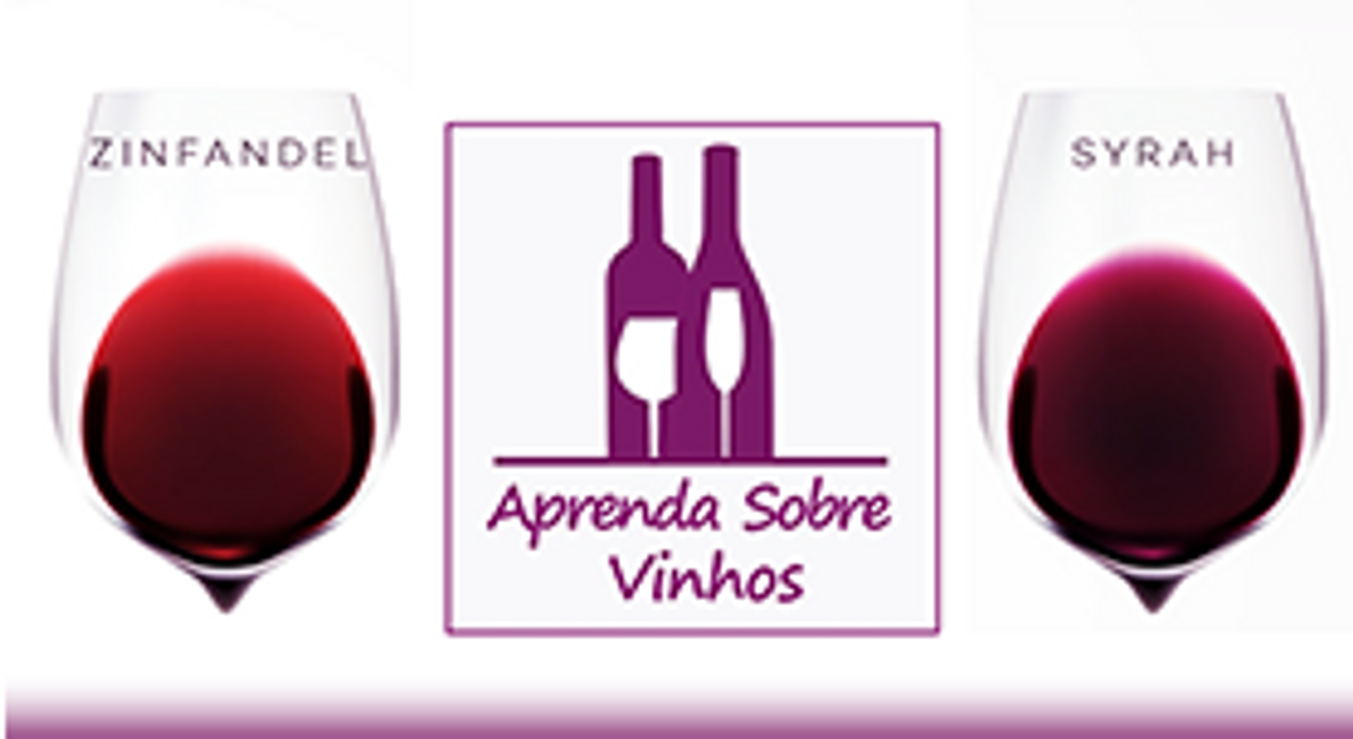 Fashion Aprenda Sobre Vinhos