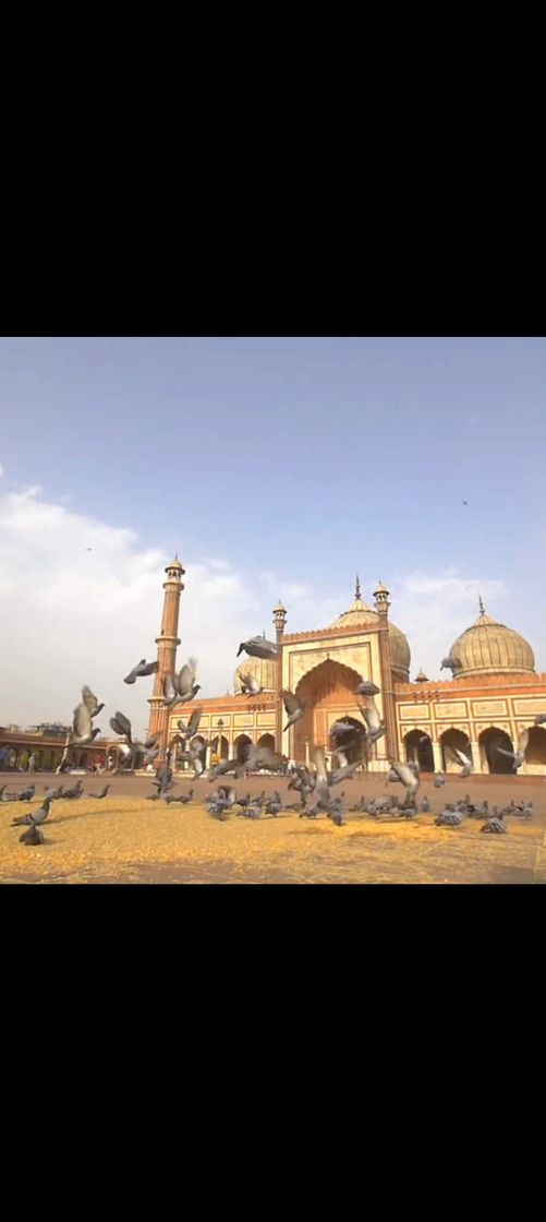 Lugar Jama Masjid, Chandni Chowk